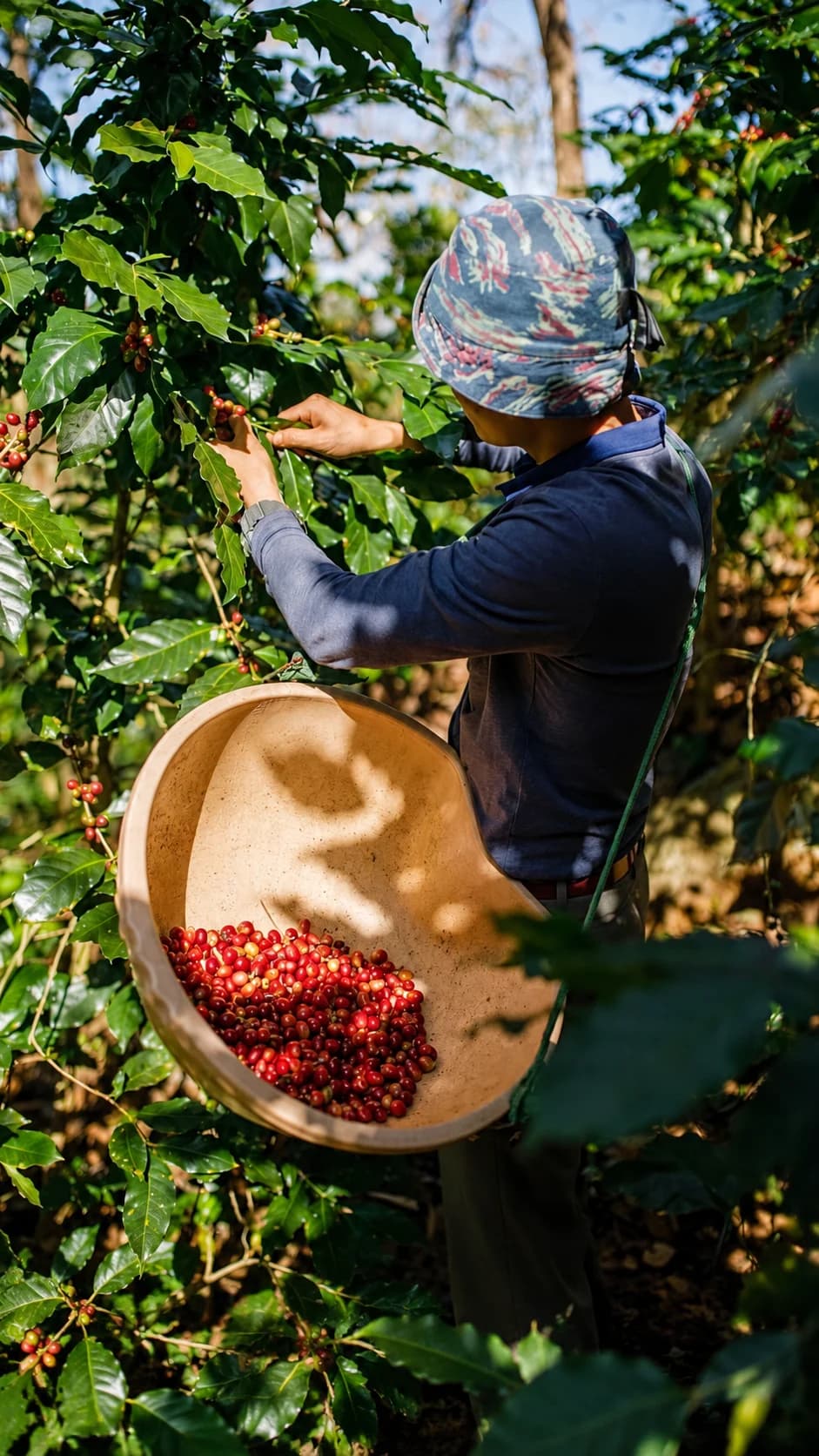 Coffee professionals evaluating Cambodian coffee