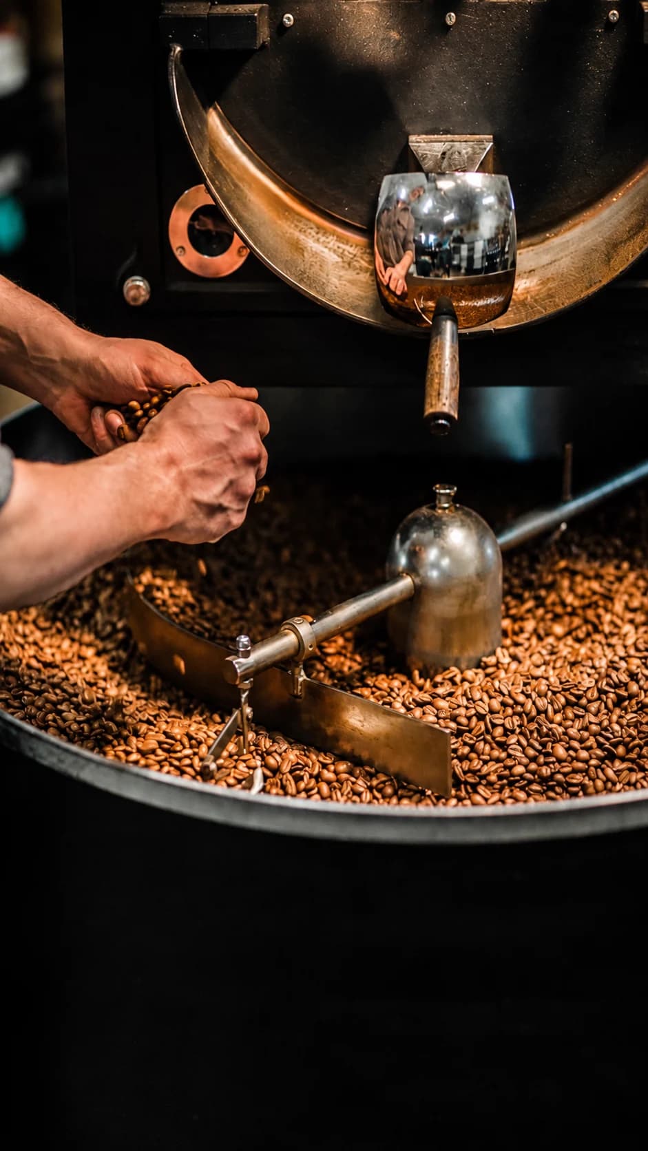 Fine Robusta coffee visual for an OCC partnership experience