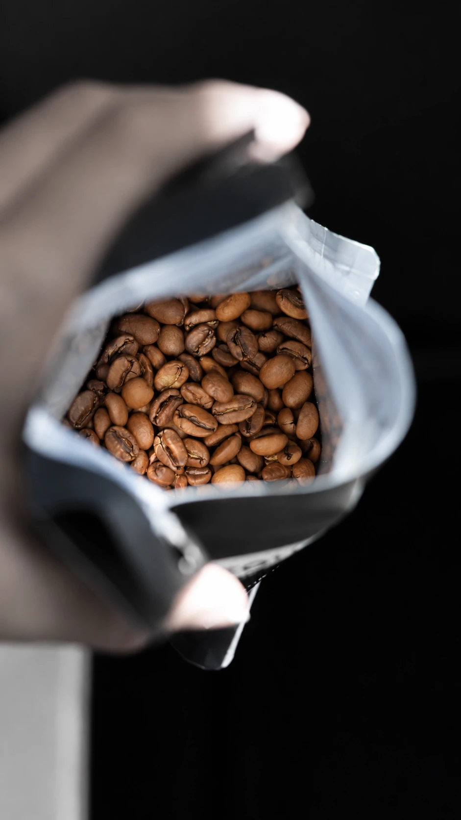 Commercial coffee roasting and processing equipment