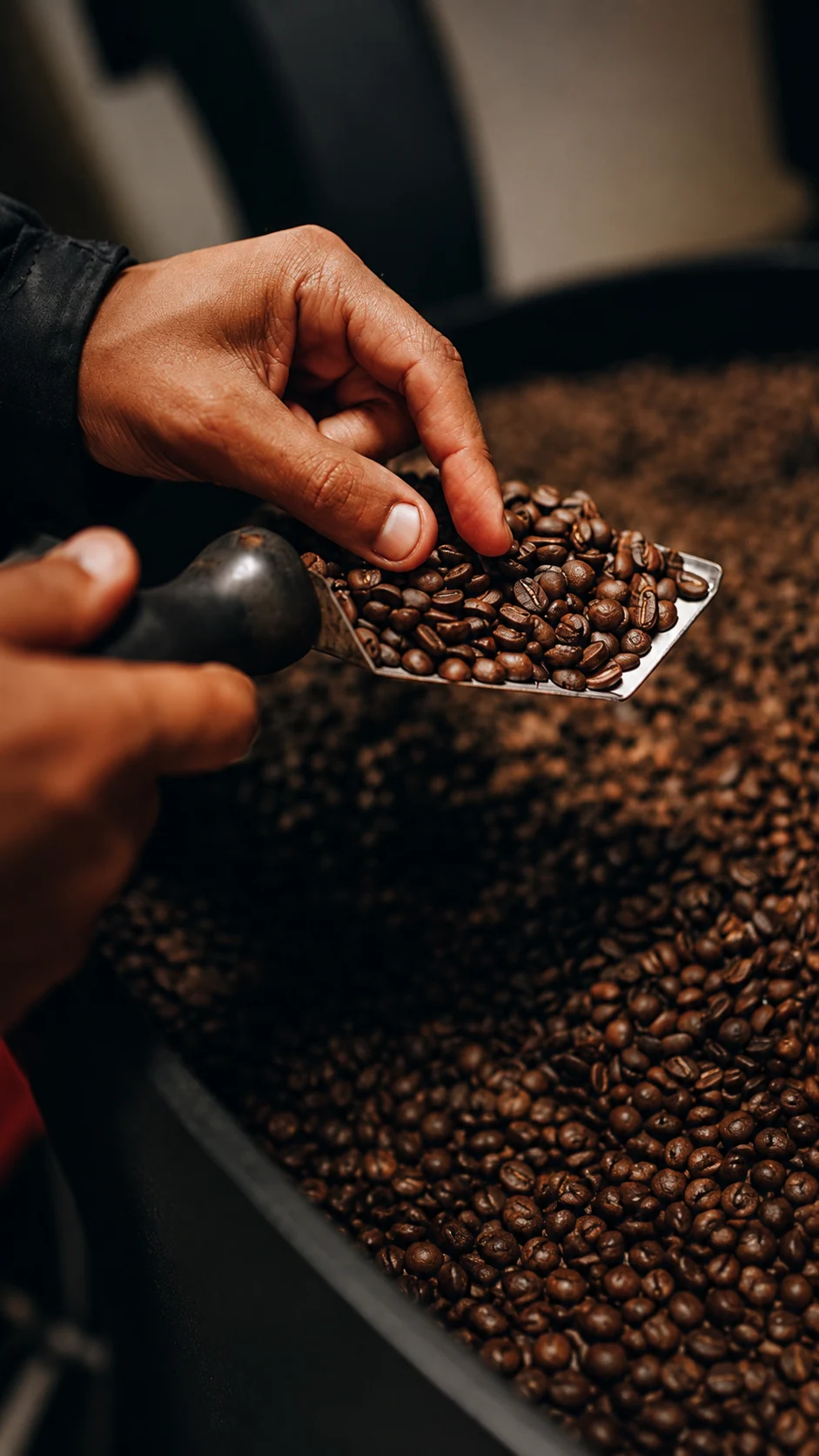 Coffee bean quality evaluation and grading