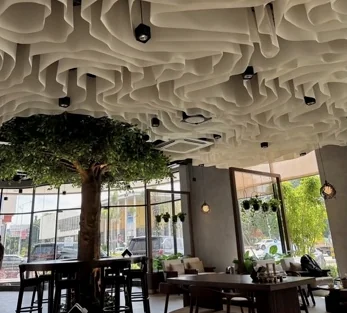 Bright café interior with leafy indoor tree