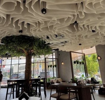 Tree growing through a bright café interior