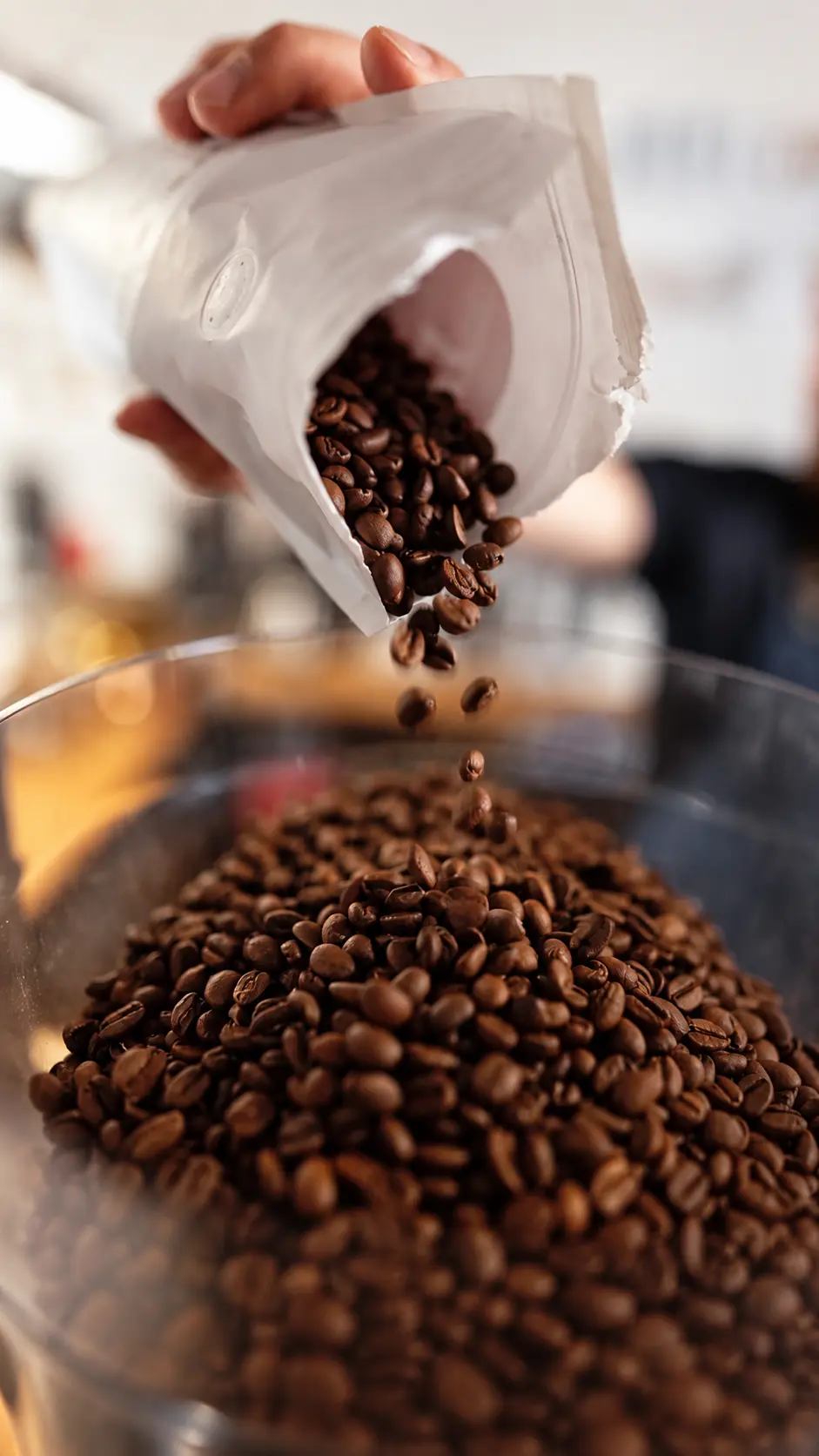 Origin Coffee Cambodia (OCC.) Cambodia-origin coffee prepared for international market presentation