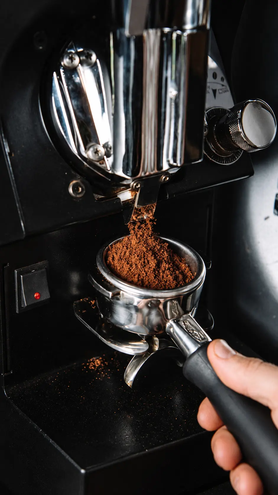 Cambodian coffee supplier brew evaluation for café wholesale programs